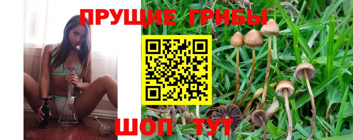 Псилоцибиновые грибы Cubensis Уварово